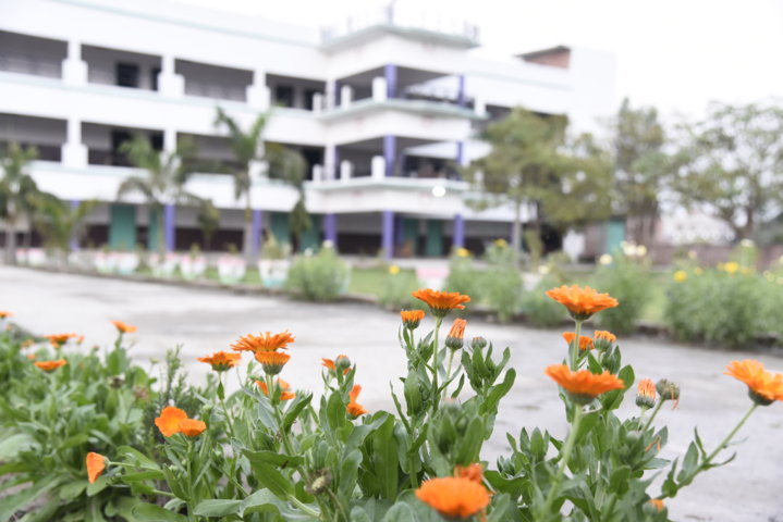gardens